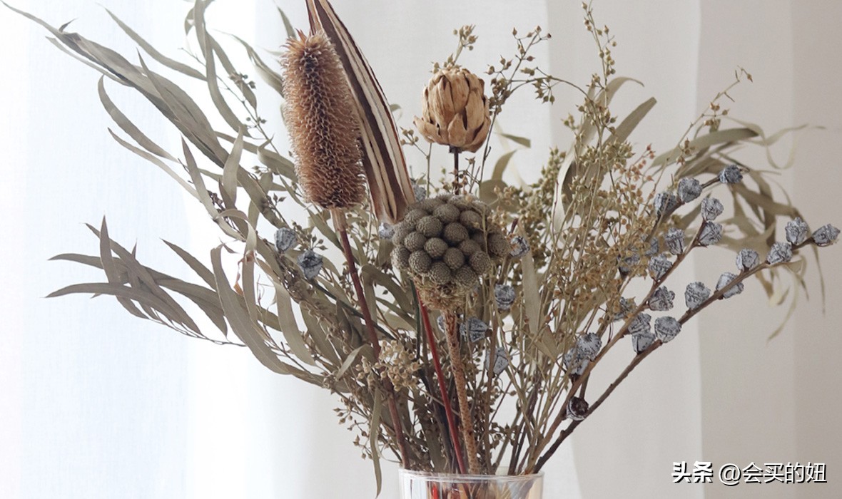 好看又便宜的绿植店铺,什么小绿植好养又适合店铺