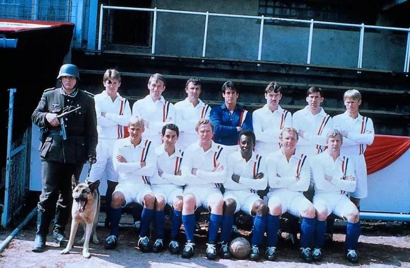 球迷不可错过的电影,作为球迷必看的电影