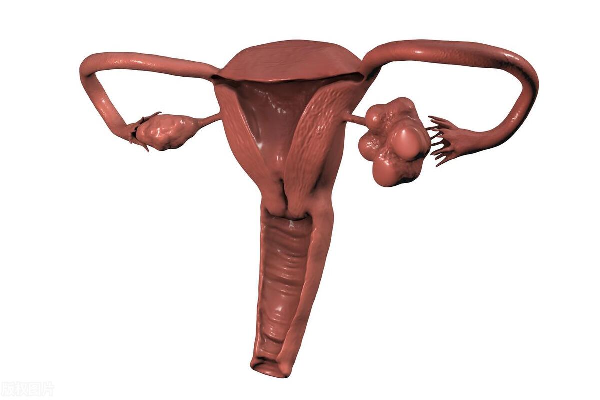 女生第一次会出血吗？处女膜有什么用？医生告诉你答案