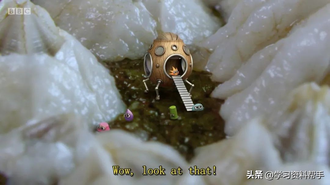 科普动画《TinyWonders小奇迹》，带娃换个角度观察和认知世界！