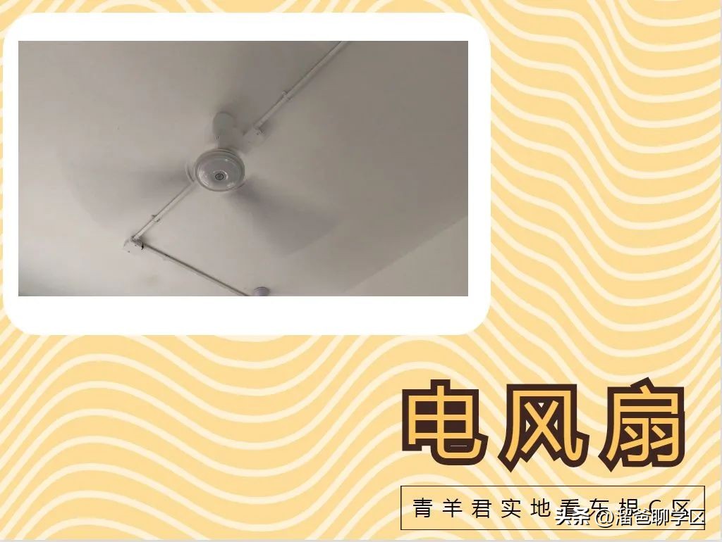 一校三区→一校五区?从不设分校的“金花学校”要爆发?