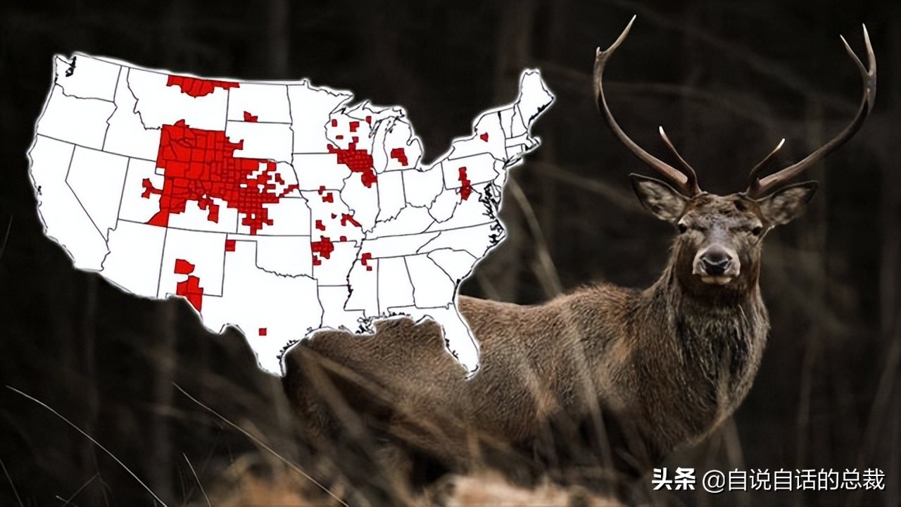 超级血液代表着什么,超级血液是啥