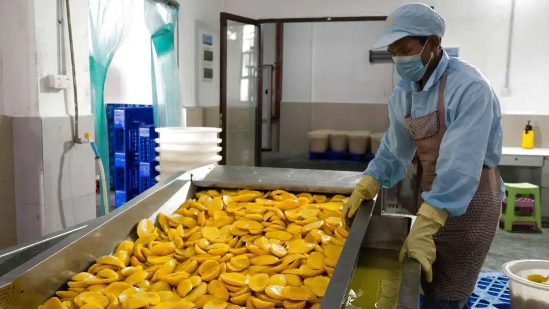 为什么那么多人说，芒果前景可期却又暗藏危机？