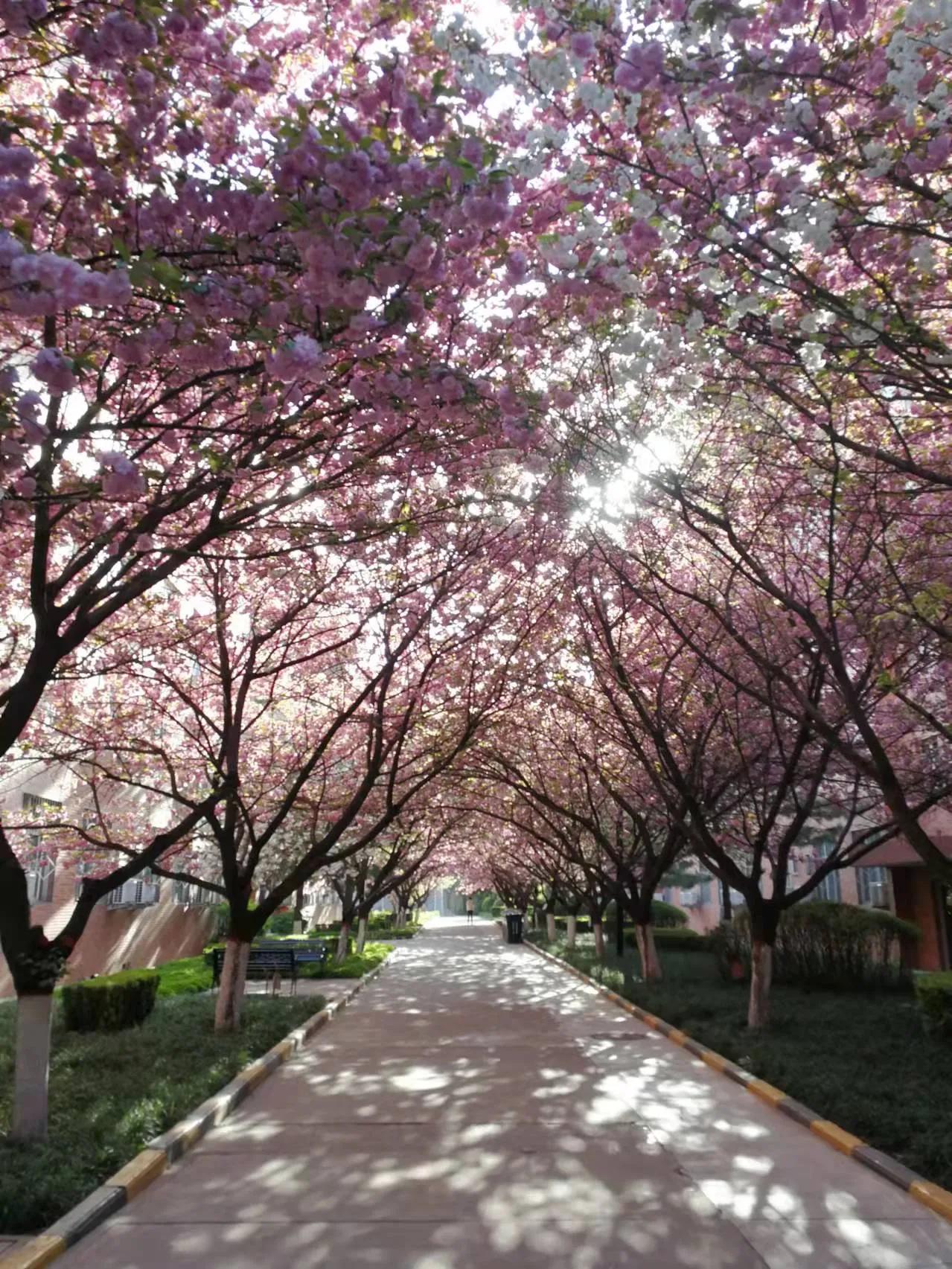 财富的背后是能力的背后是智慧,真正的智慧是怎样的