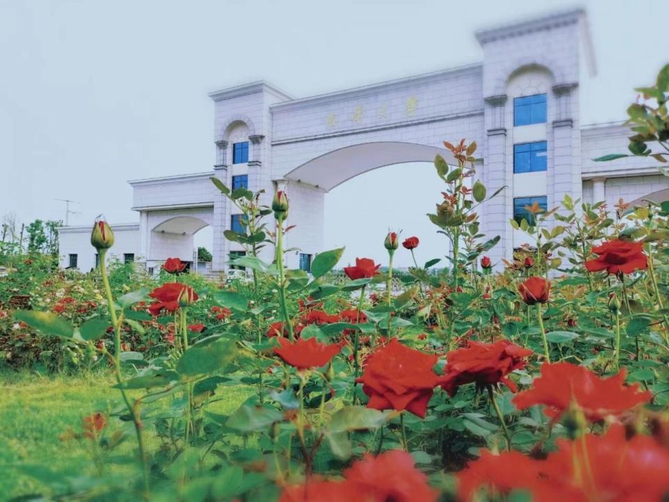 南华大学核产业特岗究竟怎么样,南华大学核产业特岗第一批名单