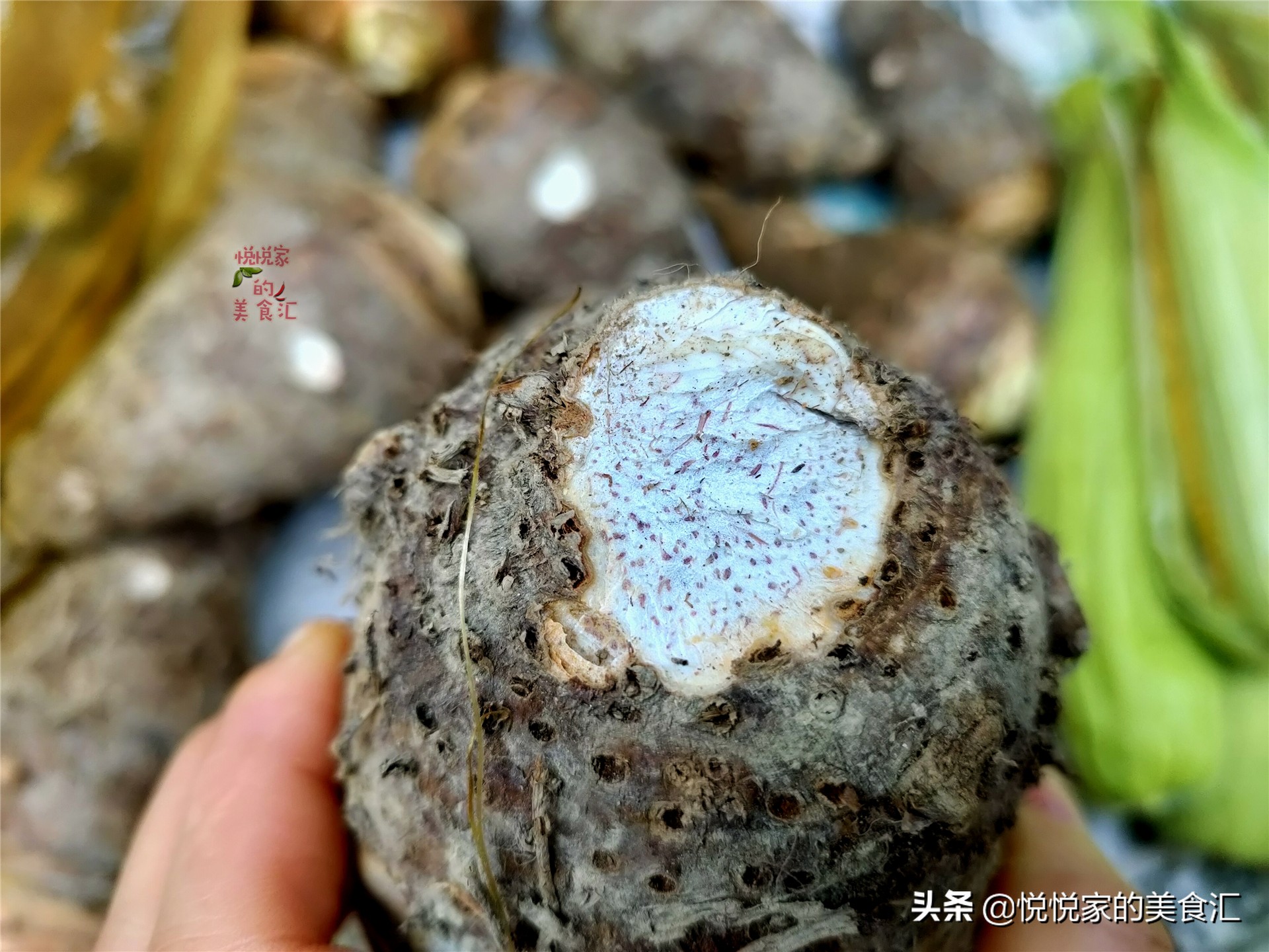 买荔浦芋头攻略,怎样选香芋才是正确的