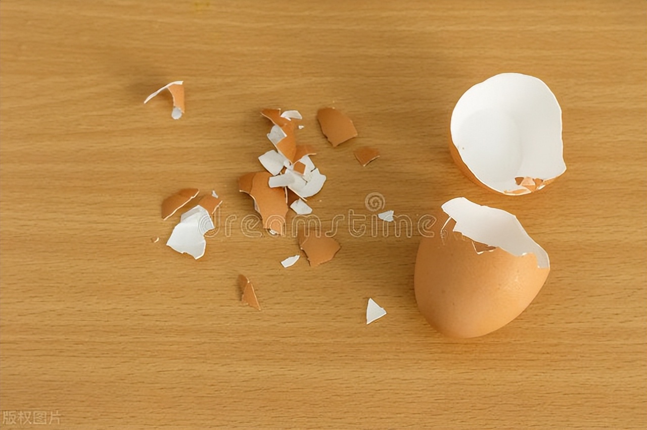 鸡蛋壳别直接扔掉,鸡蛋壳别丢