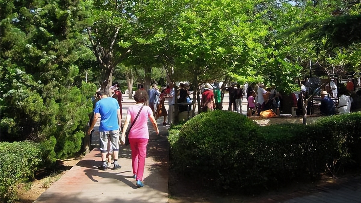 70岁老人压腿拉筋有好处吗,老人压腿的好处与坏处