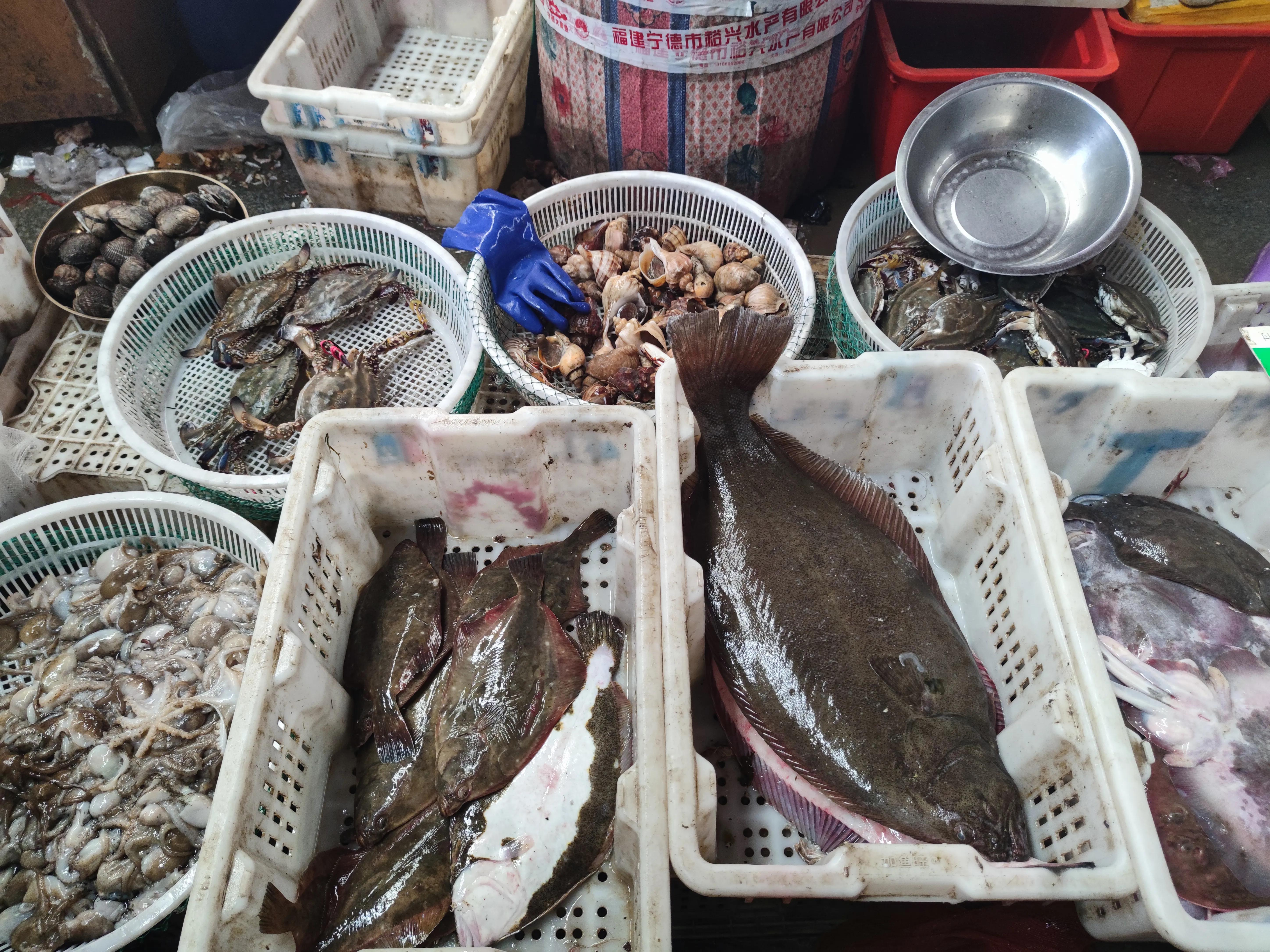 常见价格亲民海鲜有哪些,10大顶级海鲜价格排名第一