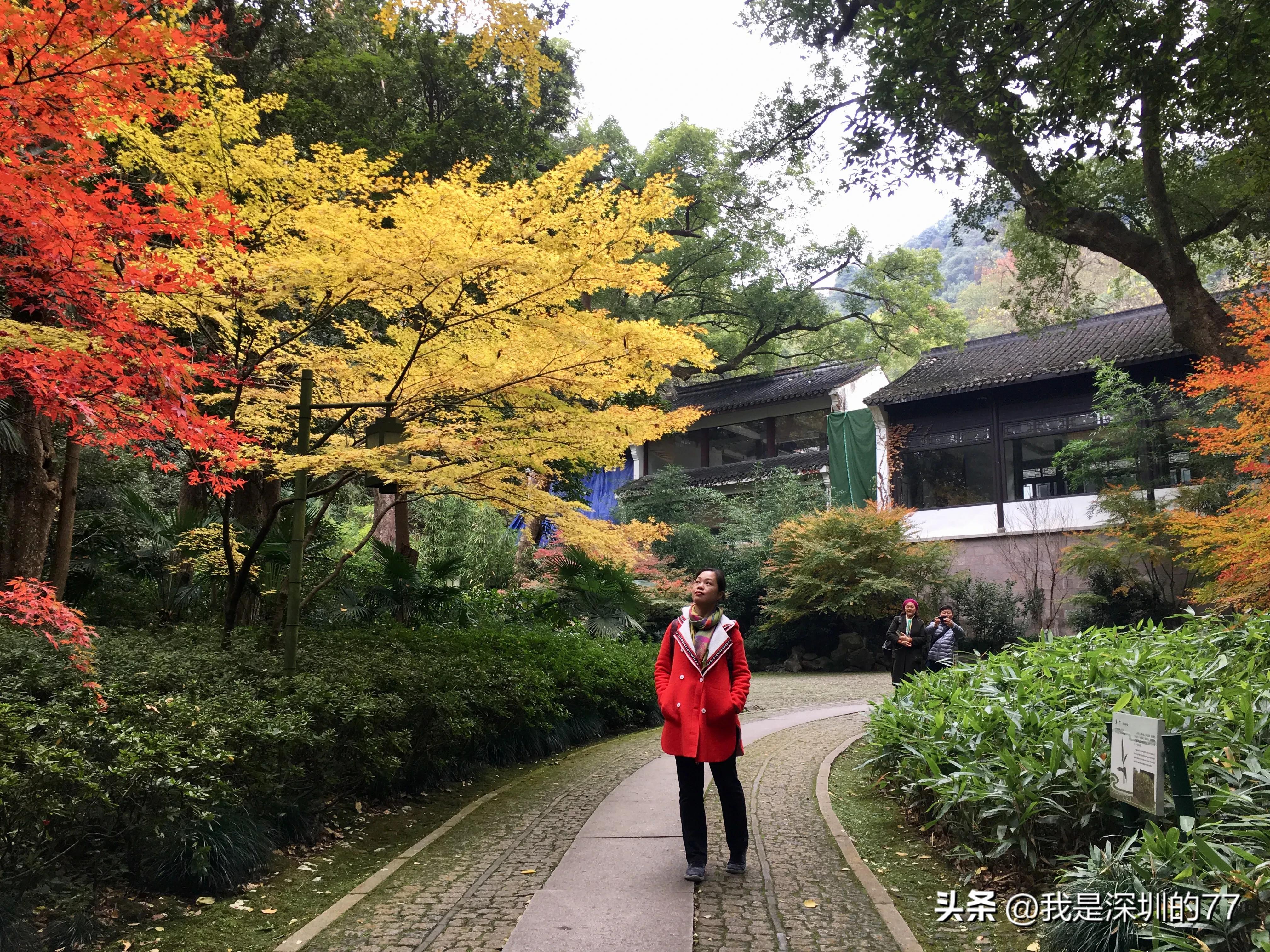 十一月，我在寻找杭州的秋天