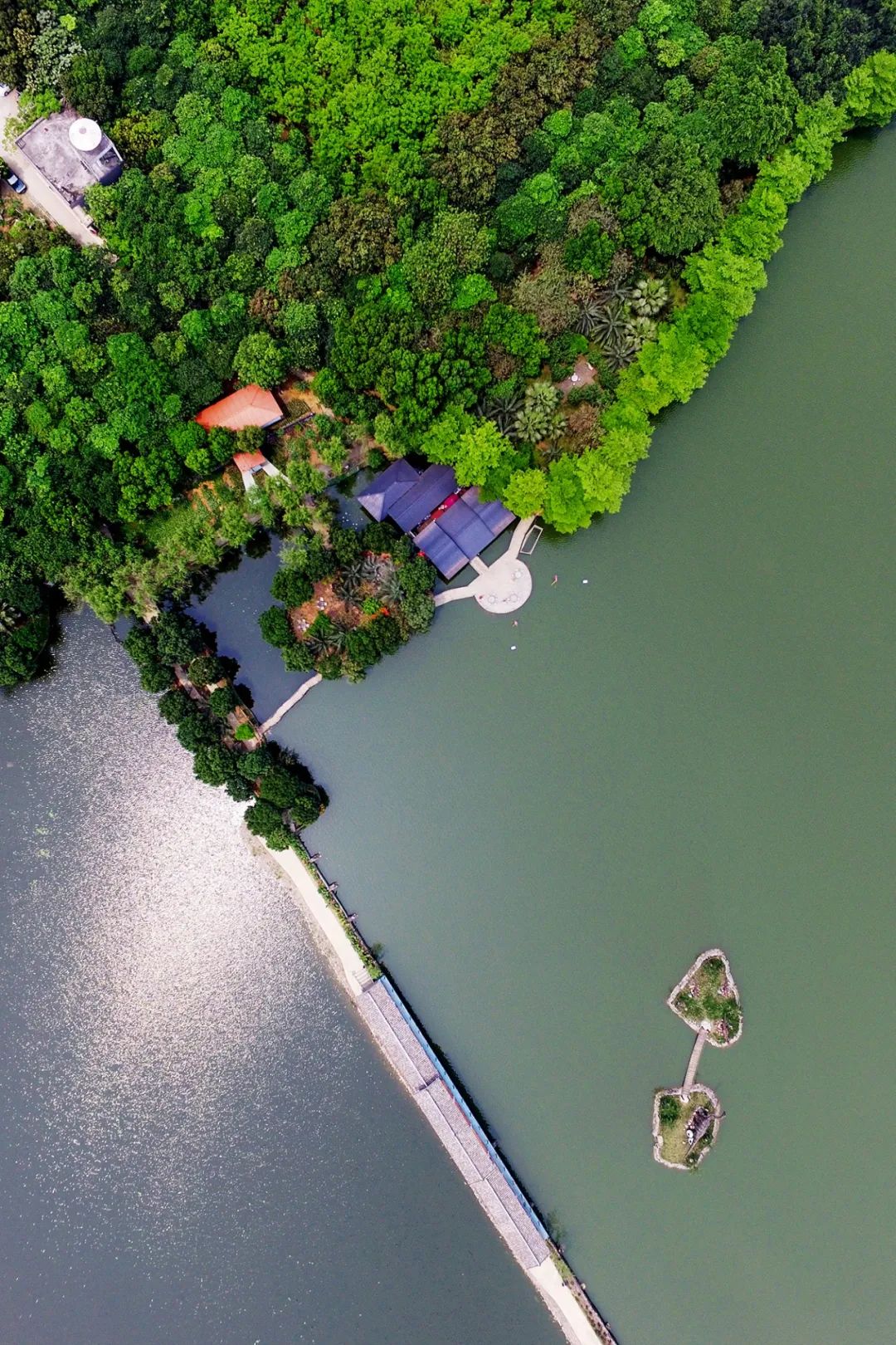 自在桂平,自在宜州