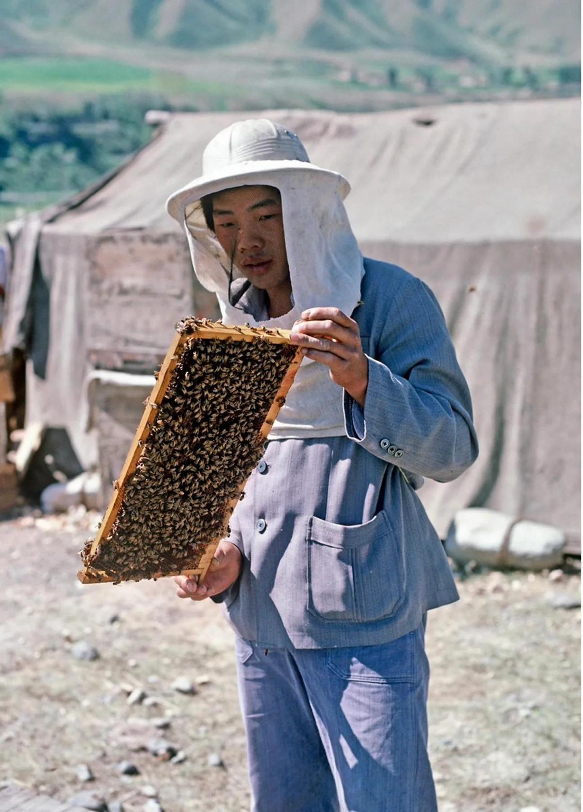侵华日军残酷*行暴**，女子为活命脱下衣服让日本人拍摄，*辱侮**至死2