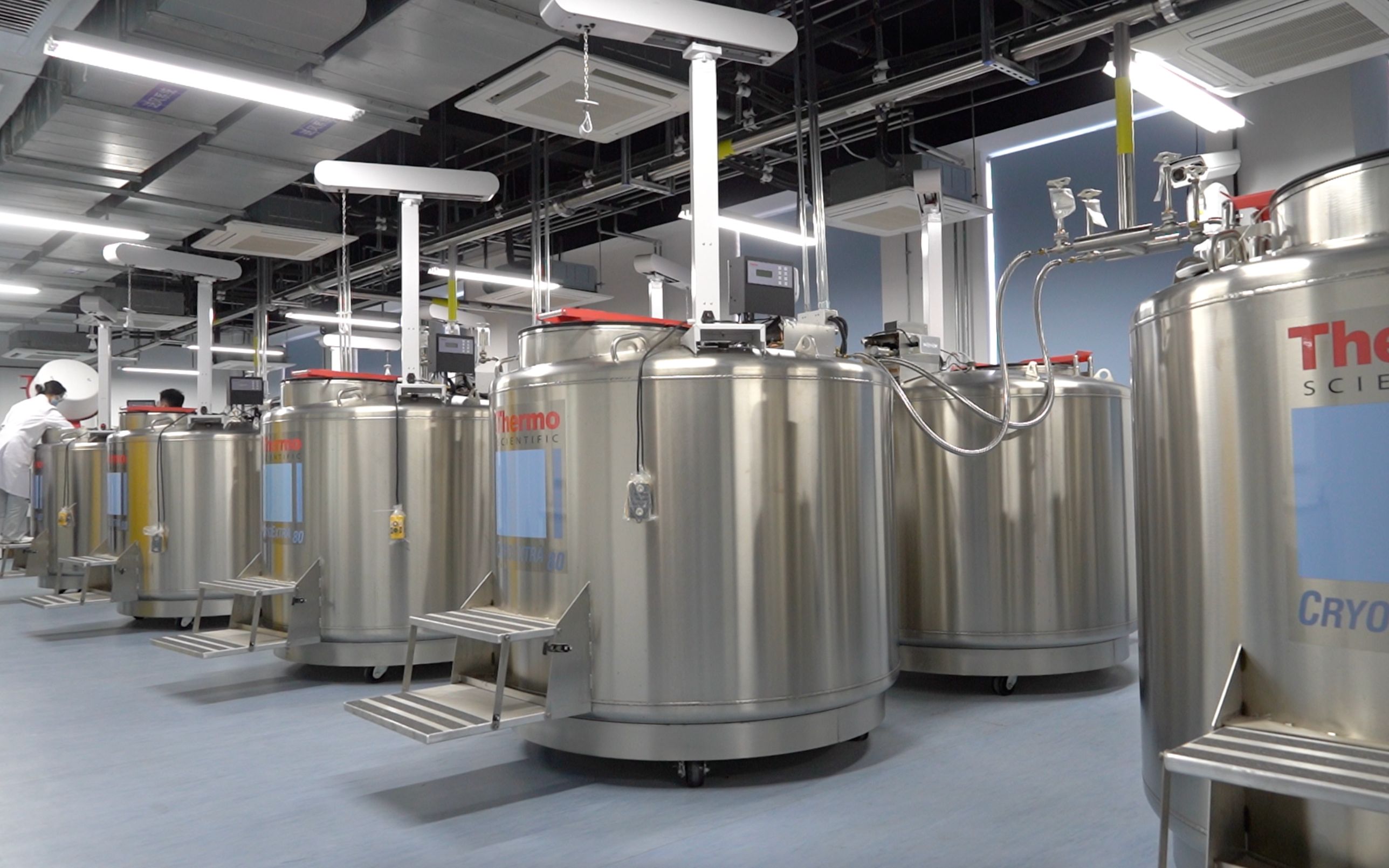 探访全球容量最大的作物“种子银行”种质库2.0是什么样的