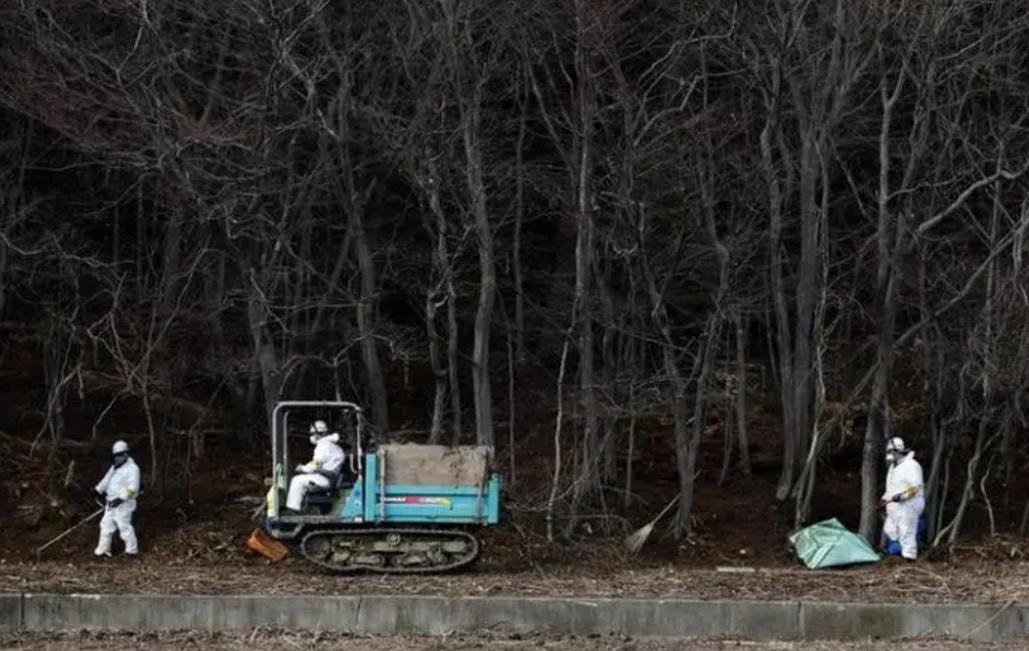 福岛厕所便池藏尸案真相,福岛女便池藏尸案