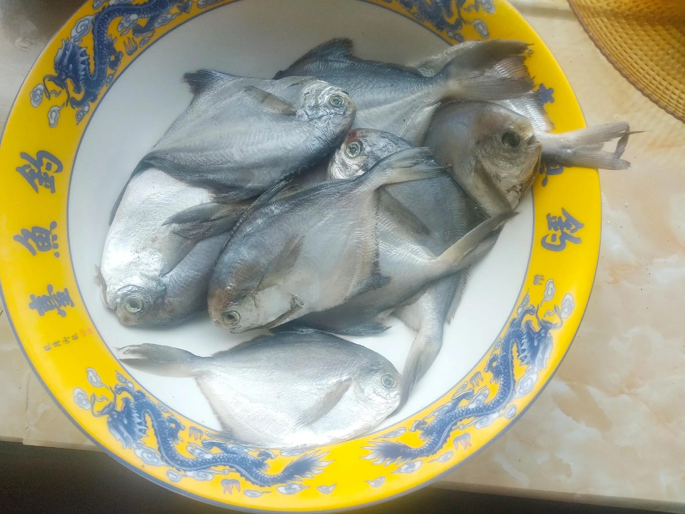 休渔期虾蟹,休渔期结束的海鲜有哪些