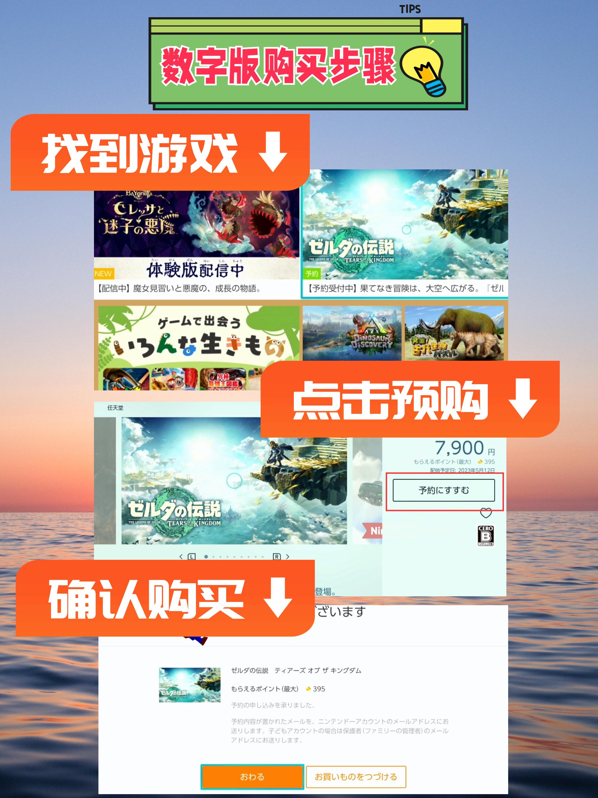 塞尔达王国之泪卡带预购什么意思,塞尔达王国之泪预购有什么奖励