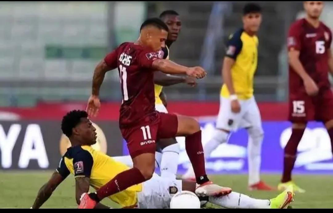 卡塔尔世界杯vs南非世界杯,卡塔尔世界杯vs巴西