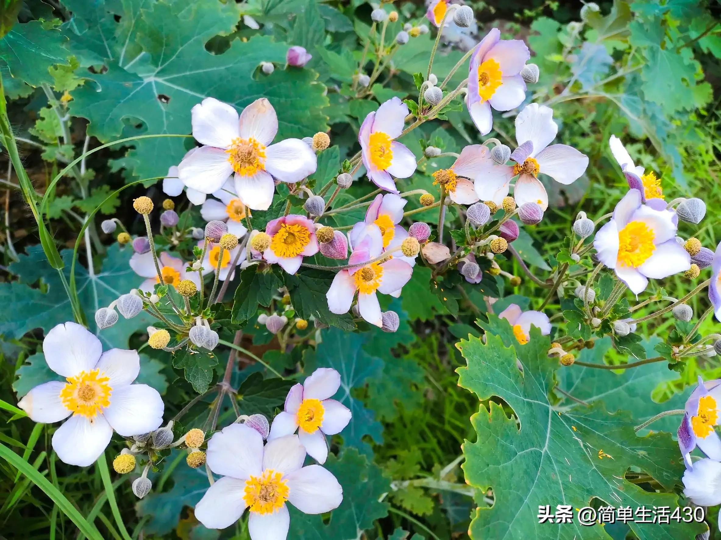 徒步穿越南太行山经典路线,夏季徒步太行山攻略