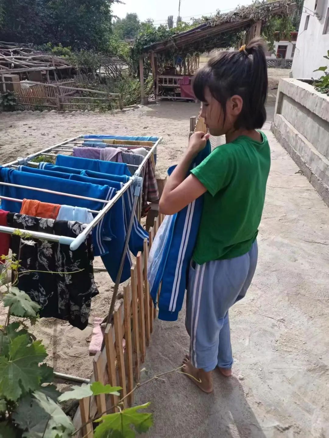 跨越2000公里的救助,跨越千里的爱心助学之旅完整版