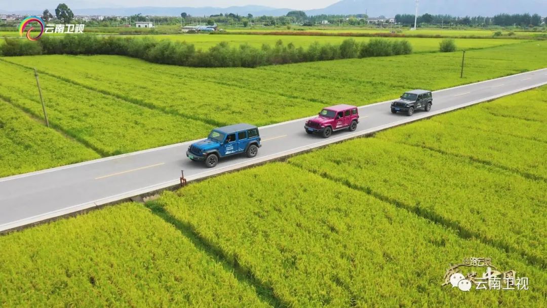 丝路云裳盛装中国盛典之夜视频,丝路云裳盛装中国第一站大理