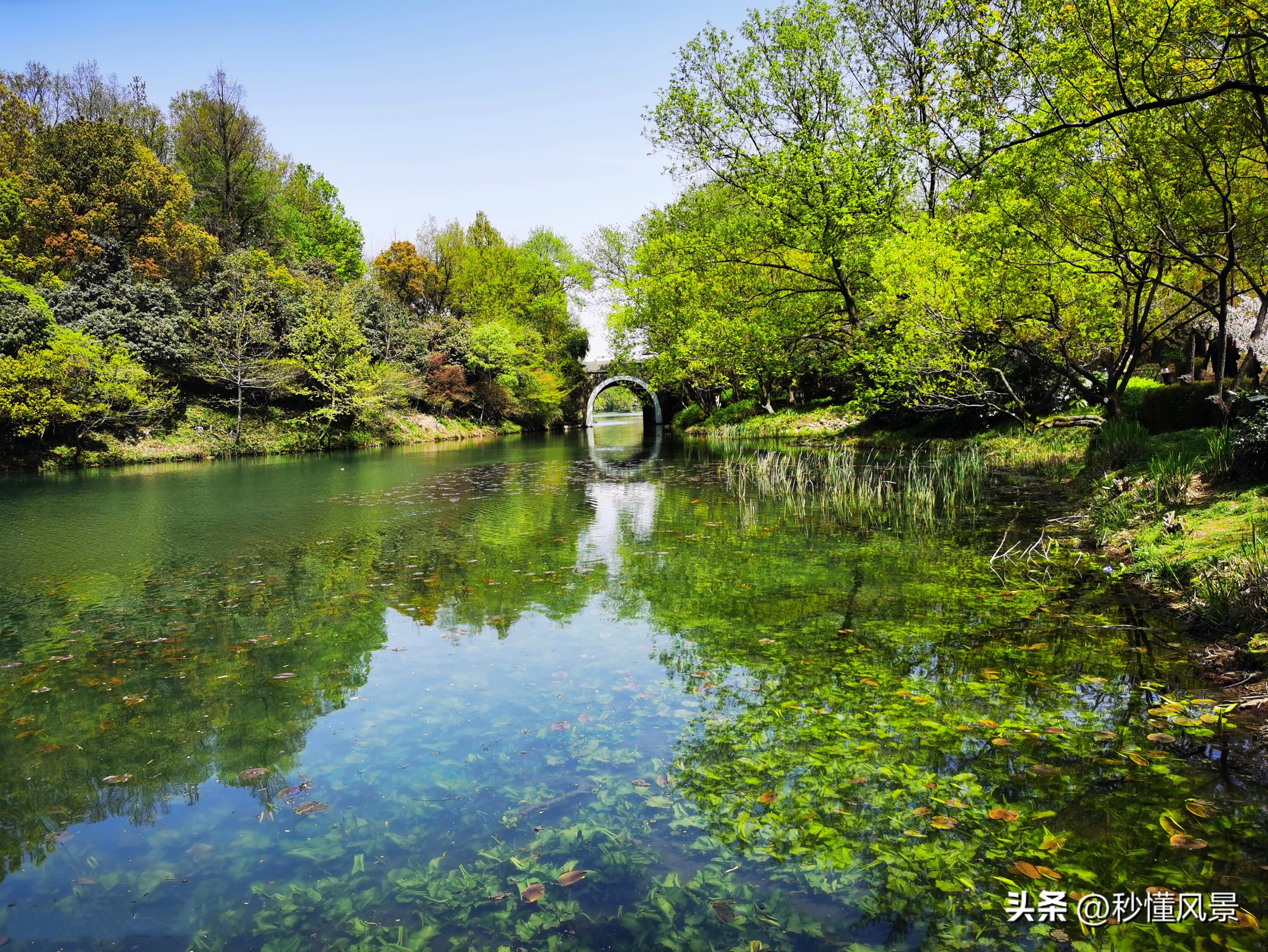 西湖门票免费为杭州带来什么变化,杭州西湖十大小众景点