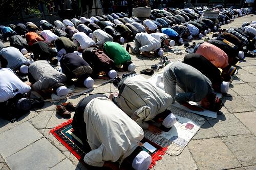 全世界穆斯林的人口变化,欧洲穆斯林人口增长为什么