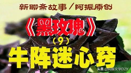 新聊斋故事大全完整版,新聊斋故事