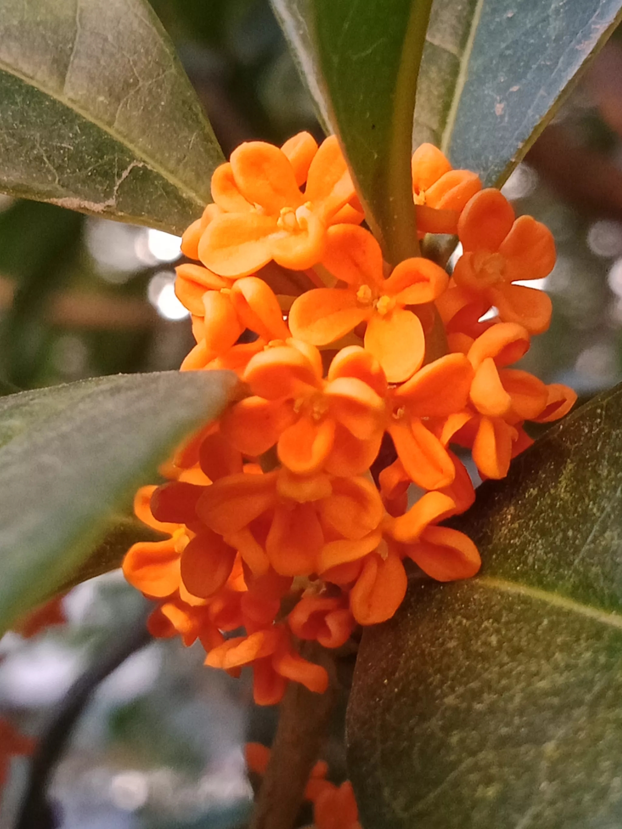 不要长时间与别人微信视频通话，有可能会耽误人家的事