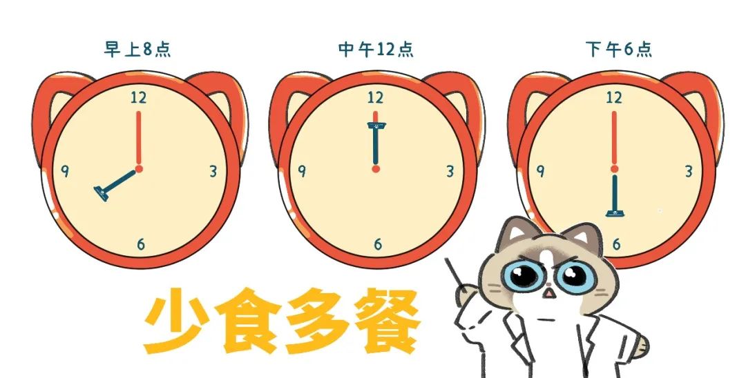 养猫的烦恼家里面好多猫毛怎么办,养猫烦恼