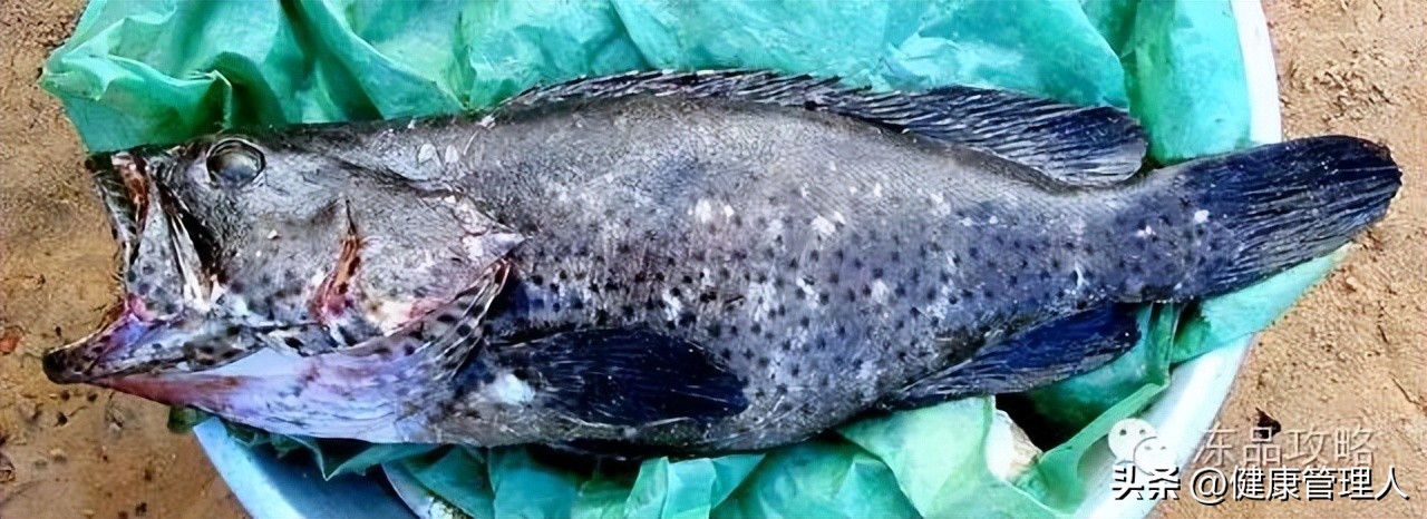 美容护肤食疗方案,美容护肤养生介绍