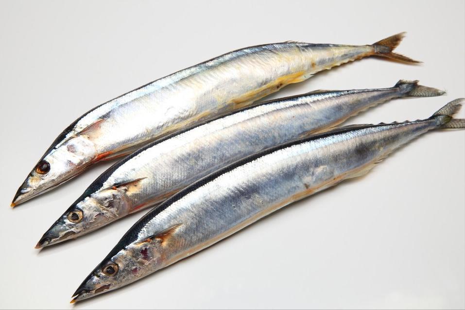 如何区别认识市面上常见的几种鱼,各种鱼怎么分类