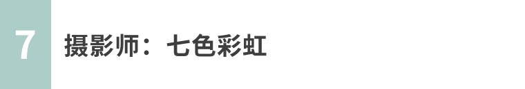 昆虫摄影艺术展,昆虫世界摄影欣赏