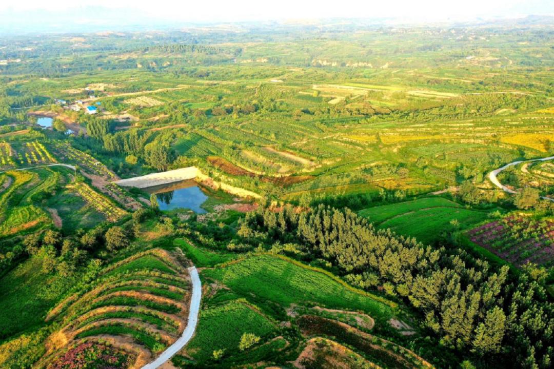 休闲农业与乡村旅游项目分析,休闲农业与乡村旅游什么时候开始