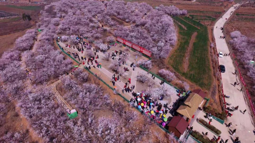 杩愬煄鍐滀笟鏃呮父,杩愬煄鍐滀笟鍙戝睍