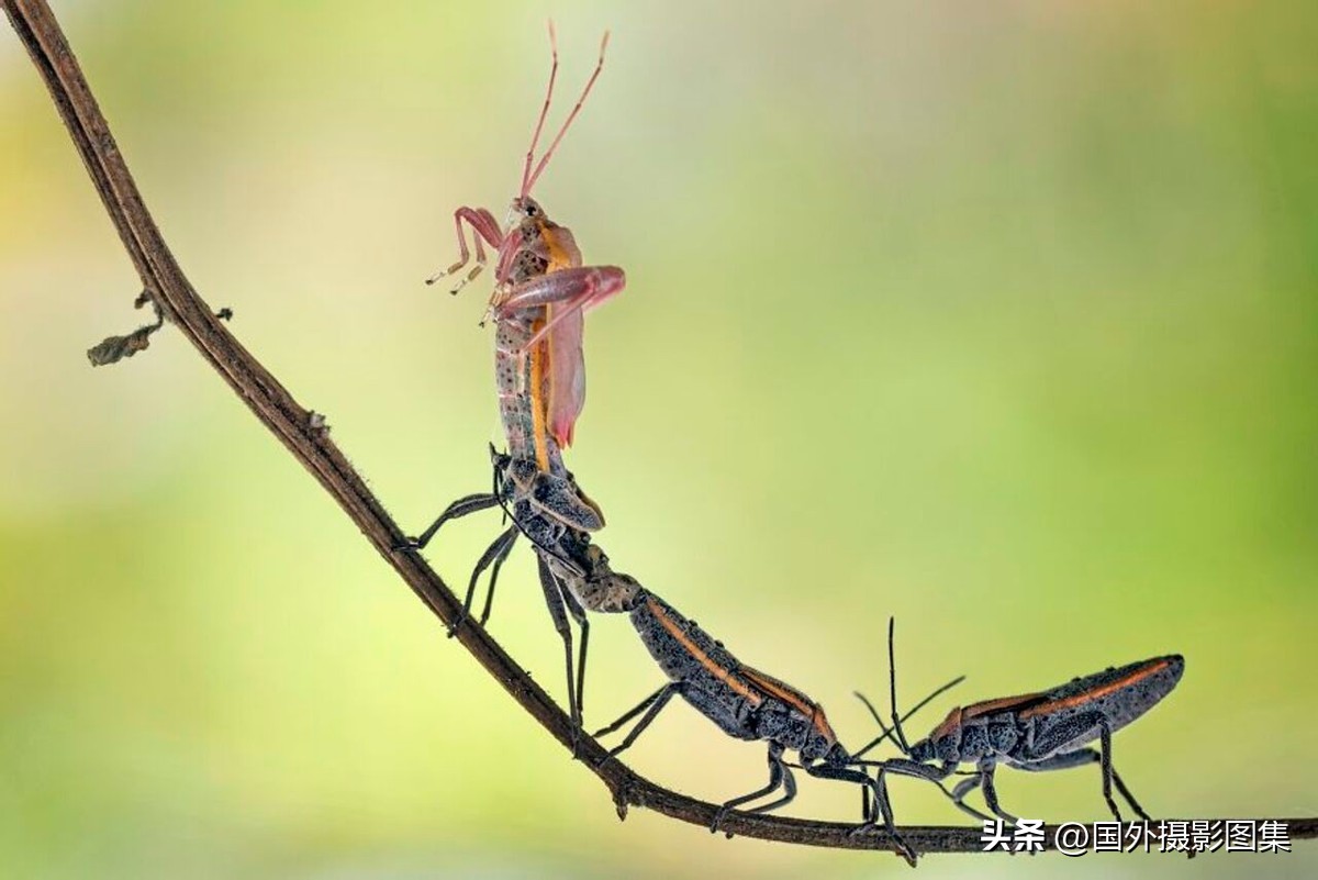 世界顶级唯美人像摄影师,世界顶级自然摄影师作品