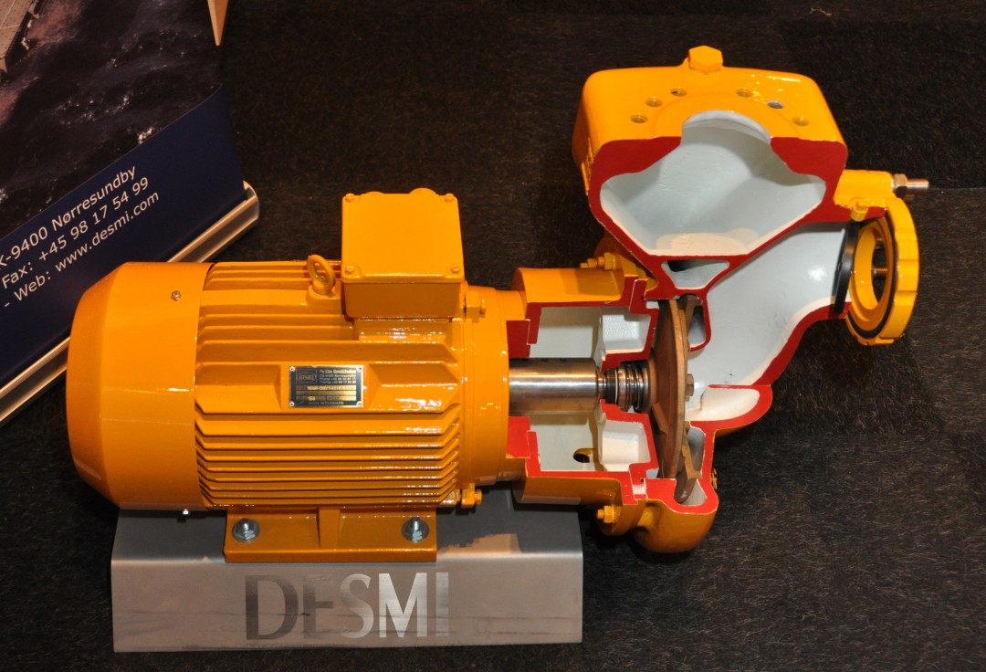 60样东西，切成一半，让你看得一清二楚