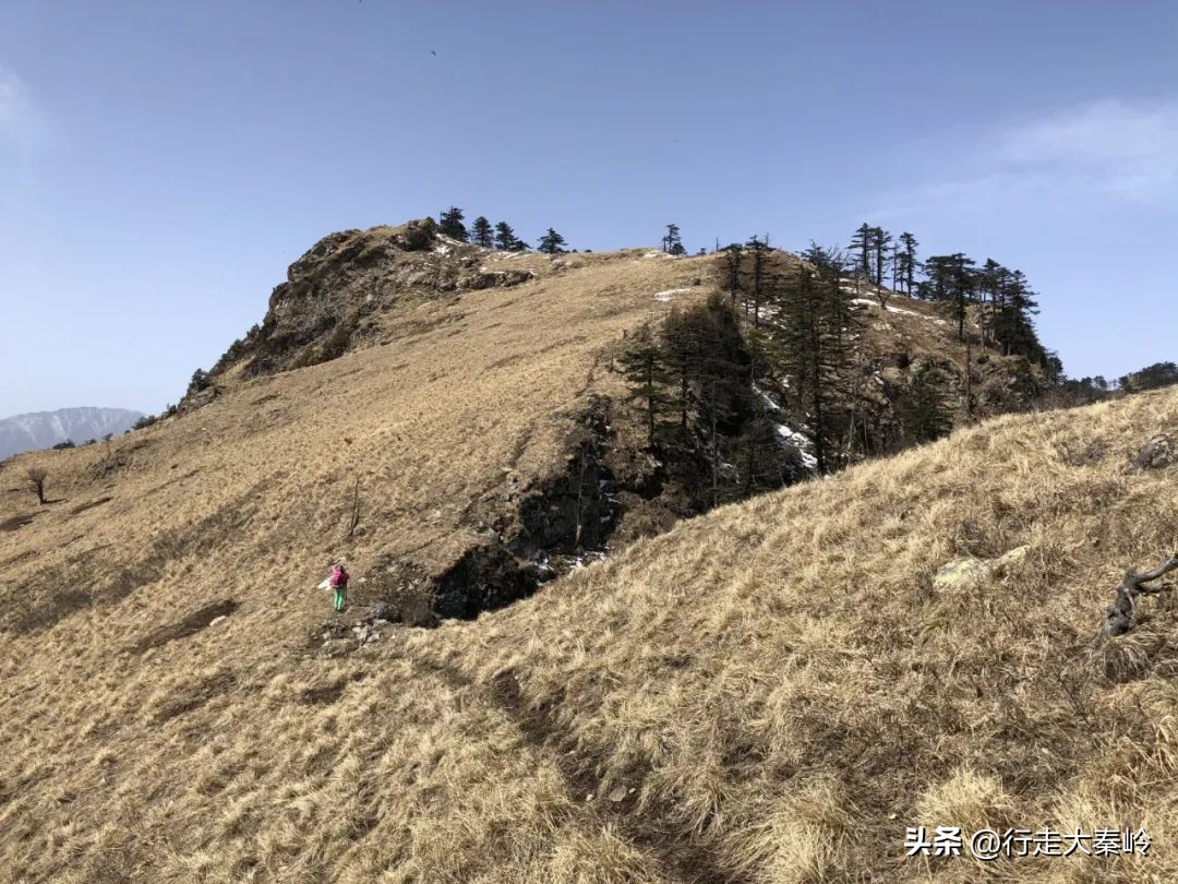 首阳山穿越大坪梁景色怎么样,大坪梁穿越到首阳山攻略