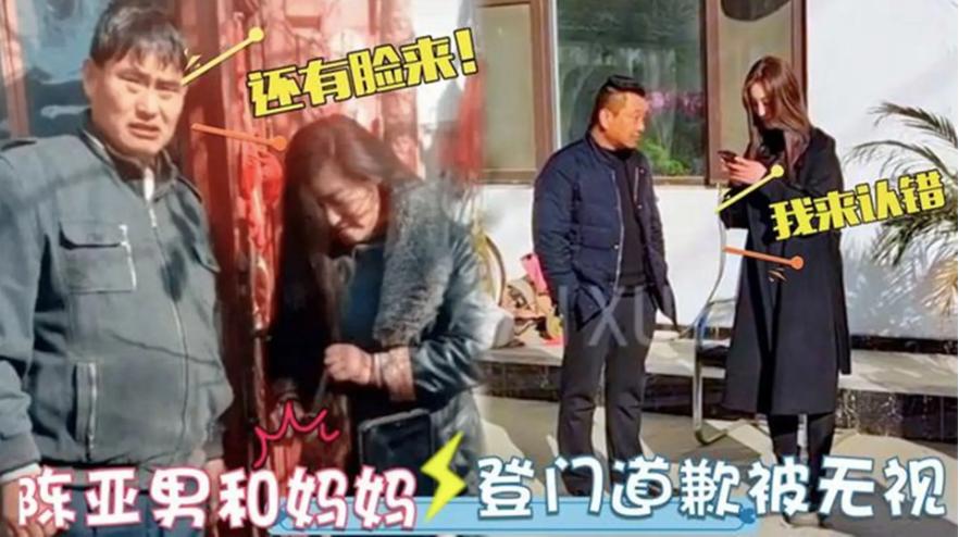 陈亚男绑架案真的吗,陈亚男绑架案事件