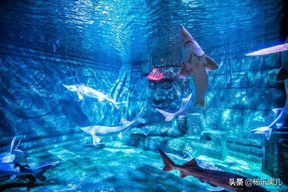 南京名胜景,江苏南京有哪些著名的风景区