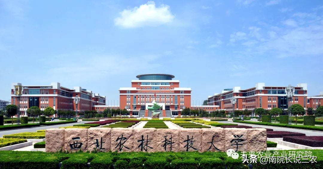 农产品供应链的全局思维,农产品供应链智能化