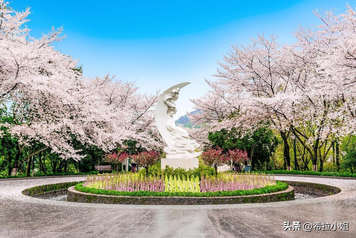 杭州新西湖十景更适合游览哪一景,杭州西湖新十景游玩攻略