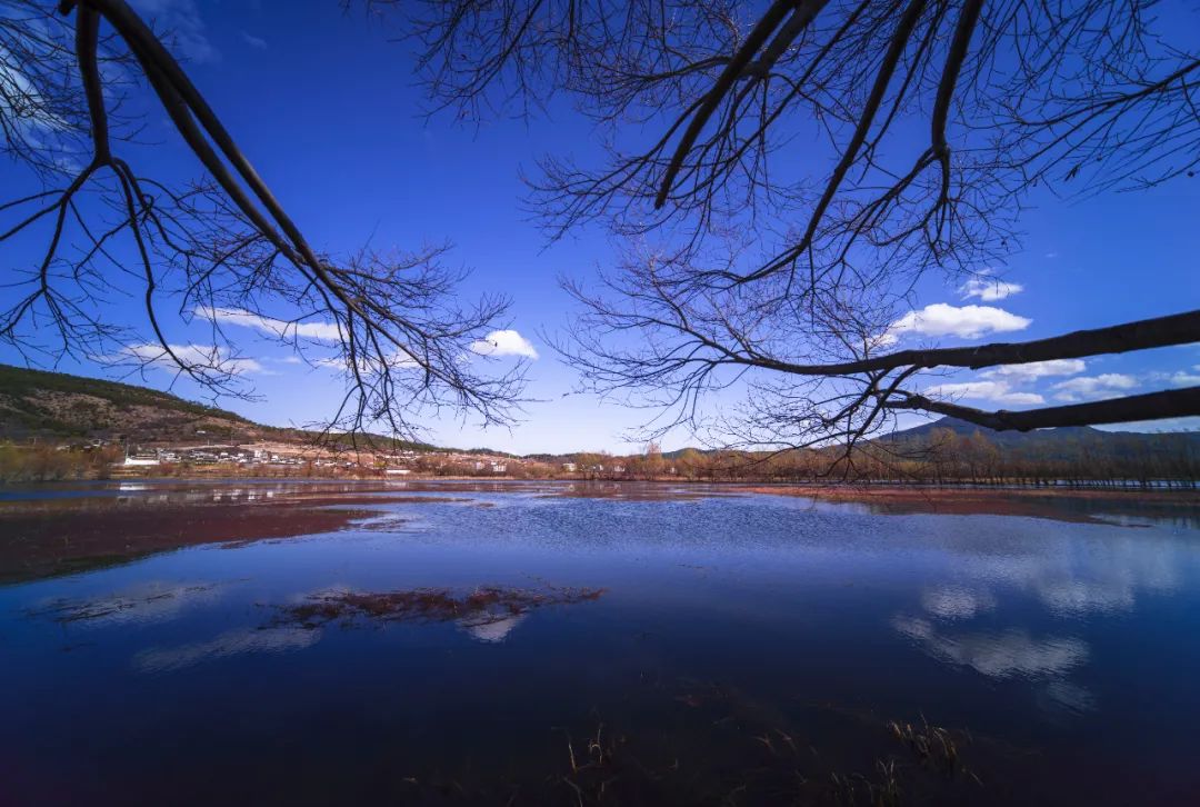 鑰佽洐15mmf4.5绉昏酱闀滃ご,鑰佽洐7.5f2璇勬祴