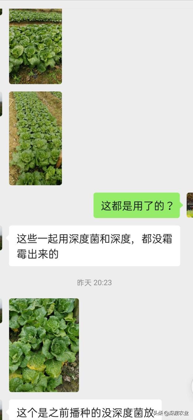 如何简单有效地解决重茬病,蔬菜重茬用什么办法解决