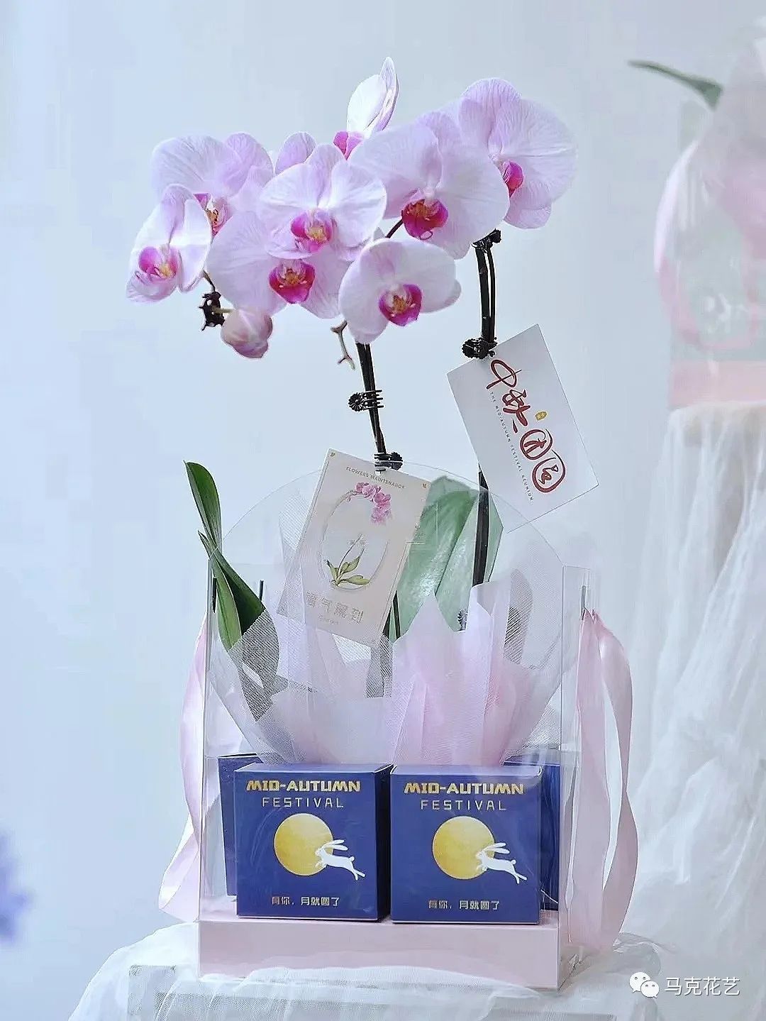 马克花艺｜送对花表对意，别让好心办坏事