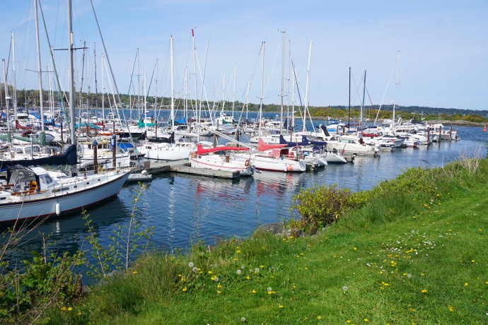 加拿大温哥华岛游记,温哥华维多利亚岛攻略