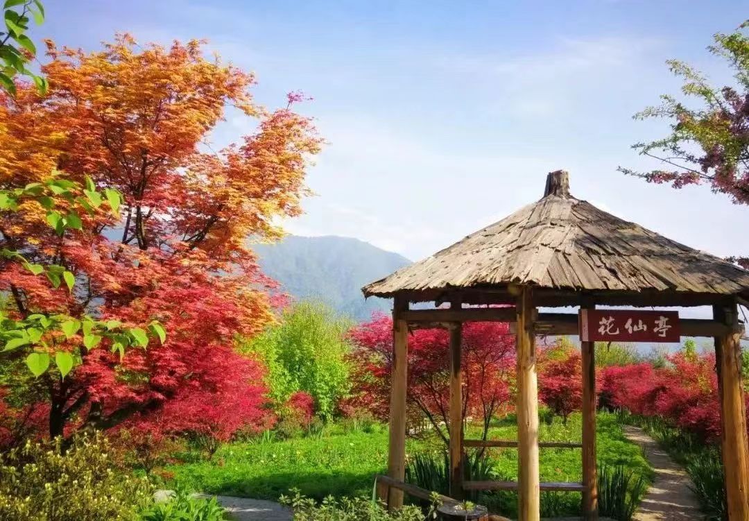 红枫岭有哪些景点,川西红枫岭旅游景点