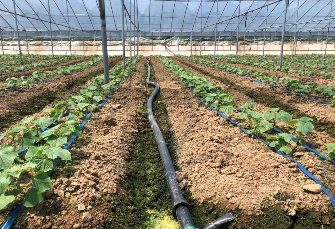 生态文明绿色发展先行区信阳,信阳绿色发展