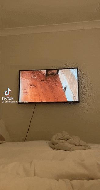 100个难得一见照片,火山爆发时的岩浆图片真实