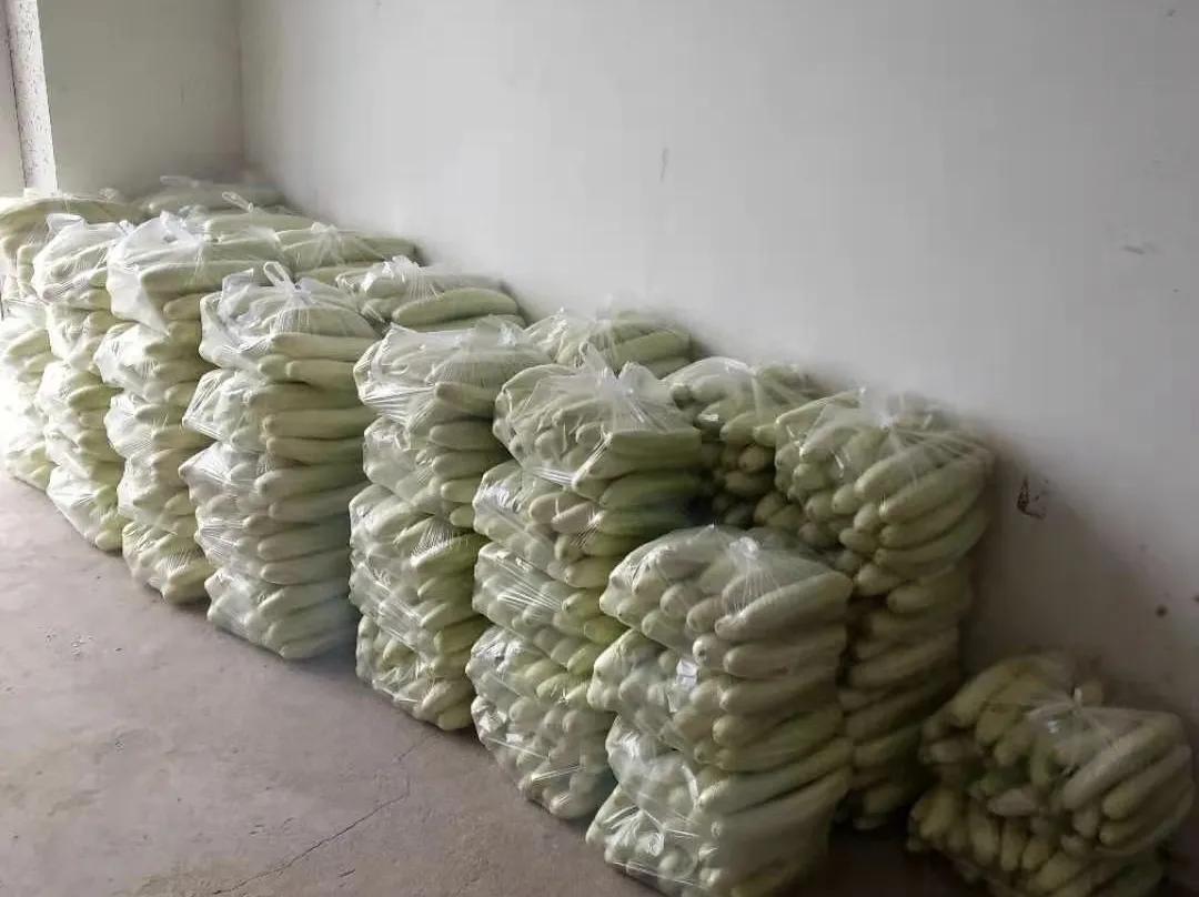 农民不出门打工能干什么养家,农民全都不出去打工怎么办