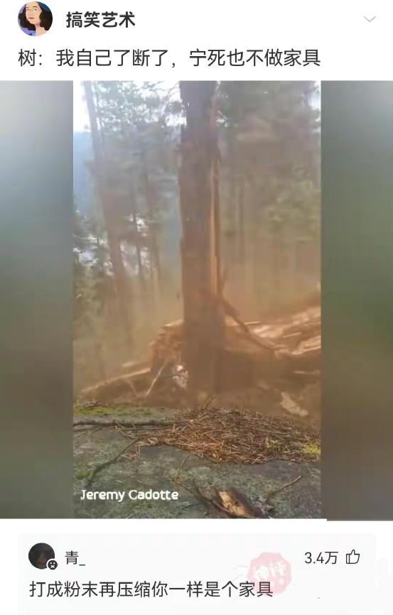 神回复不谈恋爱,神回复女朋友高情商